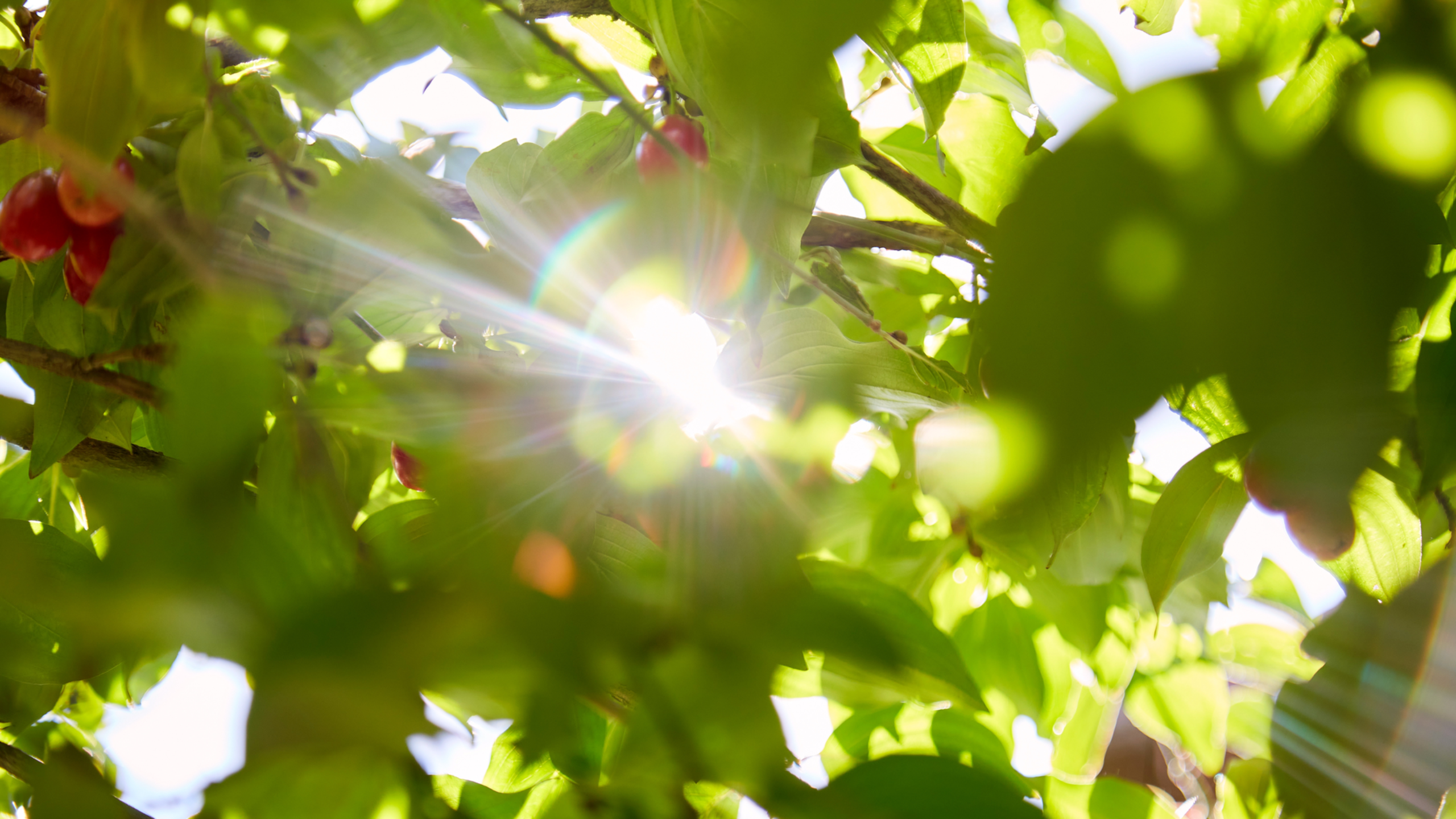 Seelsorge_shutterstock_2045705615_16-9