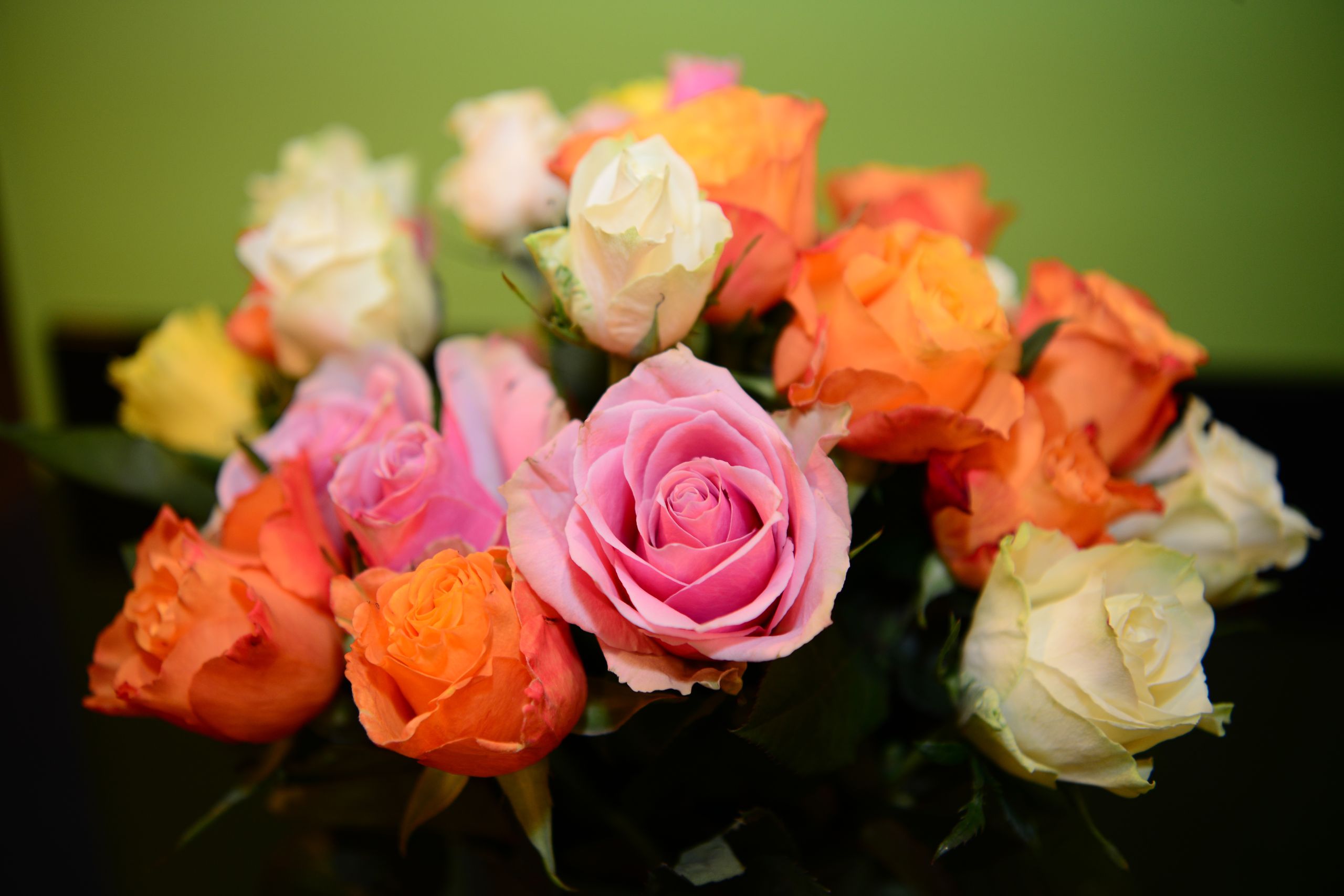 MA-Jubiläum Blumen